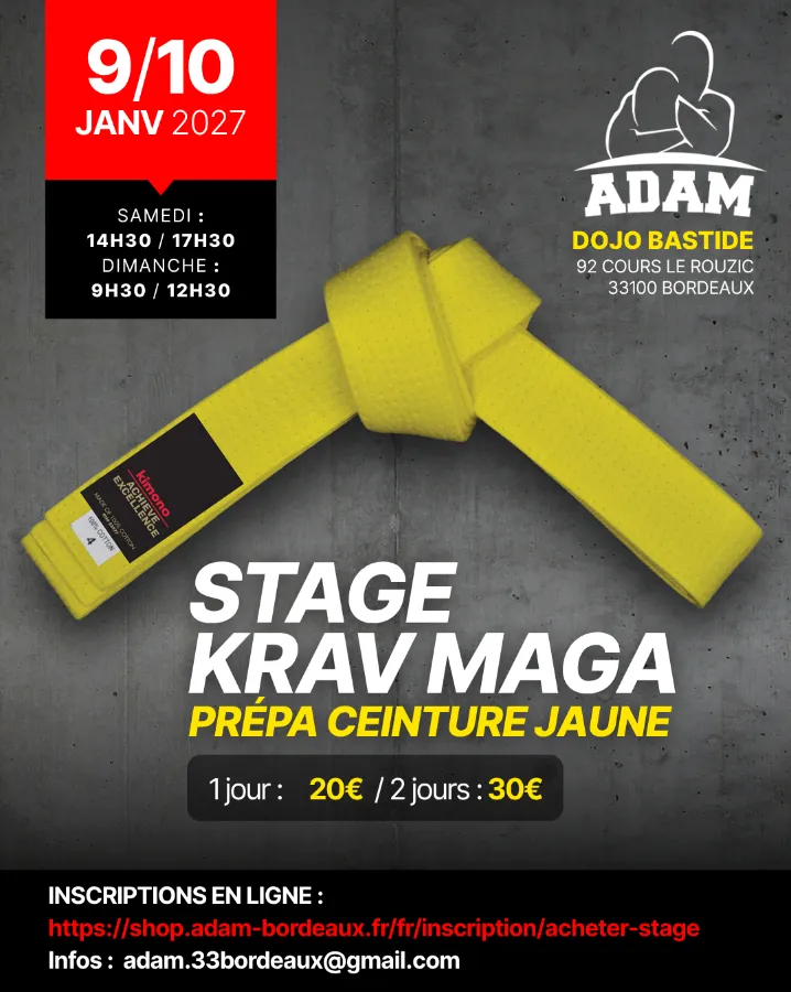 Affiche : Stage Krav Maga - Prépa Jaune